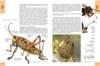 biologytextbook11_small.jpg