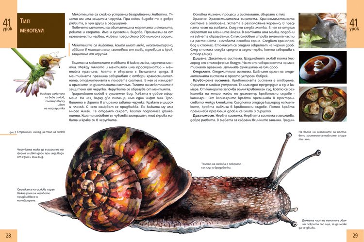 biologytextbook16.jpg