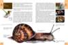 biologytextbook16_small.jpg