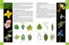 biologytextbook7_small.jpg