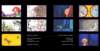 milenaradevaportfolio5_small.jpg