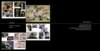 milenaradevaportfolio9_small.jpg